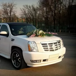 Аренда лимузина Cadillac Escalade белого цвета 