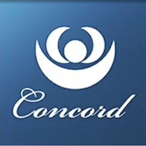 Консалтинговая компания «Concord»