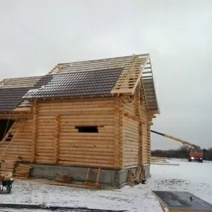 строительство бань,  беседок из оцилиндрованного бревна