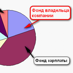 Только для владельцев компаний. Финансовое планирование компании