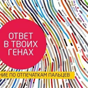 Тестирование по отпечаткам пальцев. Gtnetic-test