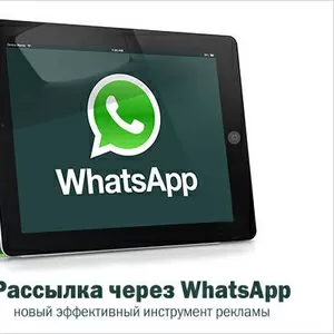 WhatsApp рассылка