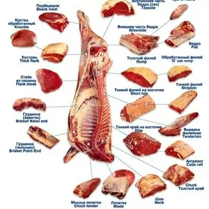 Свежее мясо оптом и в розницу