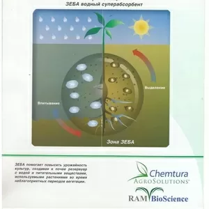 Водный суперабсорбент ЗЕБА