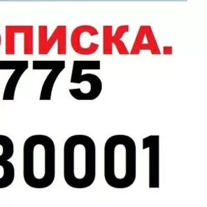 Прописка в Нур султане